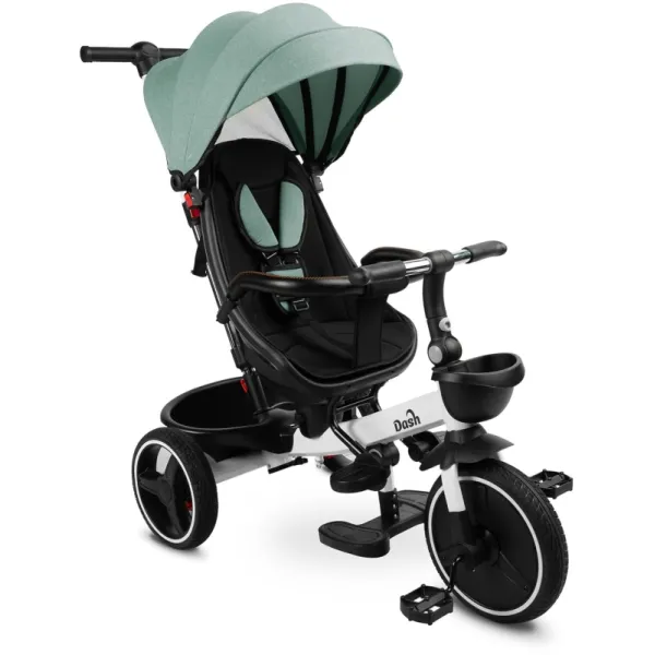 Дитячий триколісний велосипед Caretero (Toyz) Dash