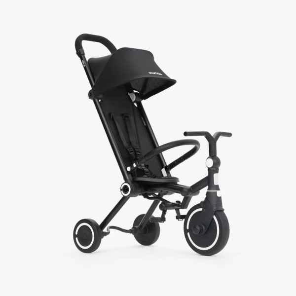 Триколісний велосипед Smart Trike Wind