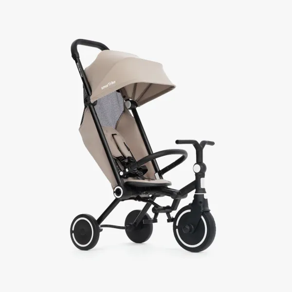 Триколісний велосипед Smart Trike Wonder Max