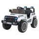 Светло-серый 