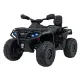 Черный 