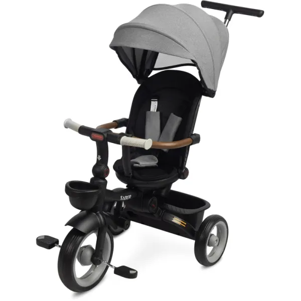 Дитячий триколісний велосипед Caretero (Toyz)  SABER