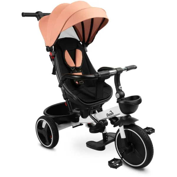 Дитячий триколісний велосипед Caretero (Toyz) Dash