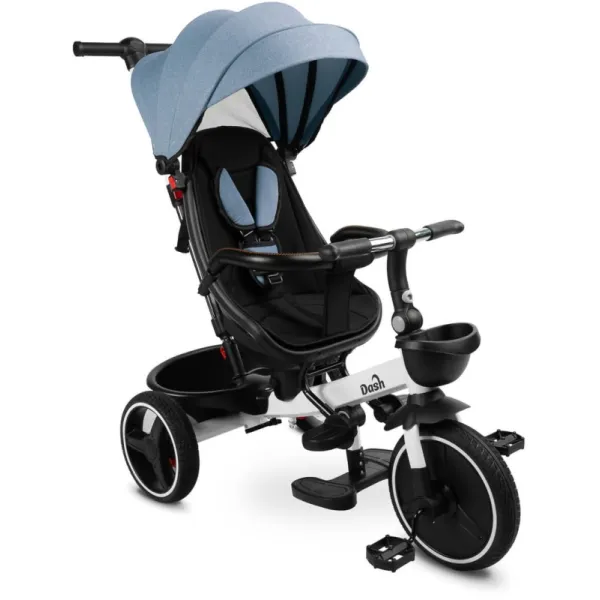 Дитячий триколісний велосипед Caretero (Toyz) Dash