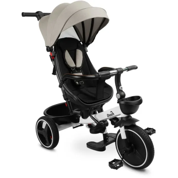 Дитячий триколісний велосипед Caretero (Toyz) Dash