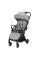 Коляска BEBE CONFORT Sunlite Mineral Graphite