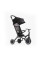 Коляска-велосипед smarTrike Wonder Plus Storm black