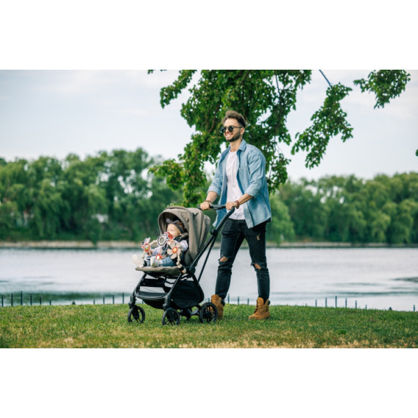 Дуга-трансформер Tiny Love Tiny Rockers
