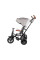 Трехколесный велосипед Qplay Rito Deluxe Rubber Grey