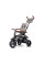 Трехколесный велосипед Qplay Rito Deluxe Rubber Grey