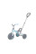 Триколісний велосипед Qplay Ant Plus