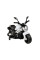 Дитячий електробайк LEANToys GTM1188
