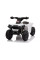 Дитячий квадроцикл LEANToys XH116