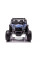 Детский электромобиль LEANToys UTV-MX Blue Spider Лакированный MP4