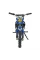 Дитячий електробайк Ramiz RENEGADE 50R
