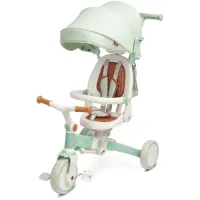 Дитячий триколісний велосипед Caretero (Toyz) FARO
