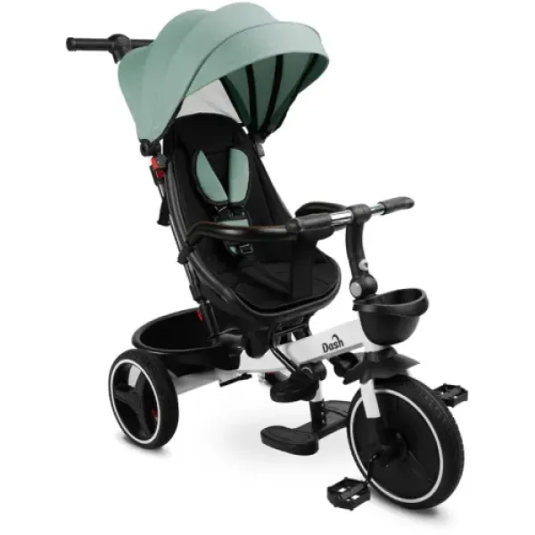 Дитячий триколісний велосипед Caretero (Toyz) Dash