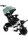 Дитячий триколісний велосипед Caretero (Toyz) Dash