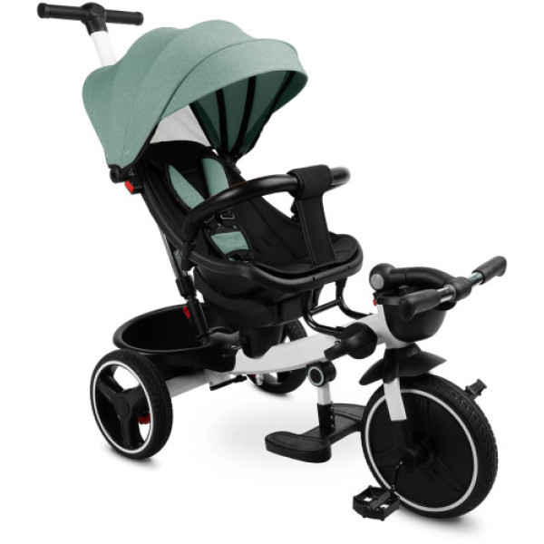 Дитячий триколісний велосипед Caretero (Toyz) Dash