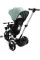 Дитячий триколісний велосипед Caretero (Toyz) Dash