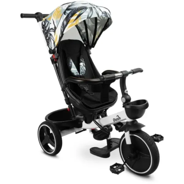 Дитячий триколісний велосипед Caretero (Toyz) Dash