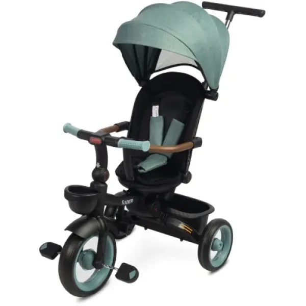 Дитячий триколісний велосипед Caretero (Toyz)  SABER