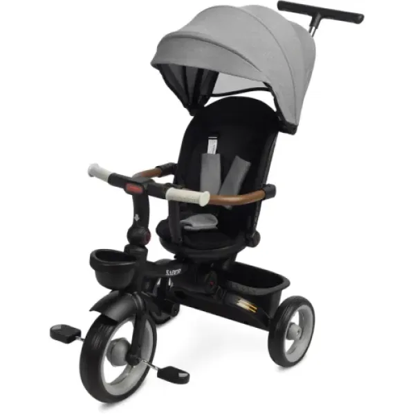 Дитячий триколісний велосипед Caretero (Toyz)  SABER