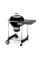 Садовий гриль WEBER Performer GBS 57cm 15301004