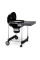 Садовий гриль WEBER Performer GBS 57cm 15301004
