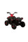 Дитячий квадроцикл LEANToys S601 EVA