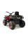 Дитячий квадроцикл LEANToys XMX607  Лакований