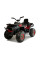 Дитячий квадроцикл LEANToys XMX607  Лакований