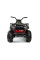 Дитячий квадроцикл LEANToys XMX607  Лакований