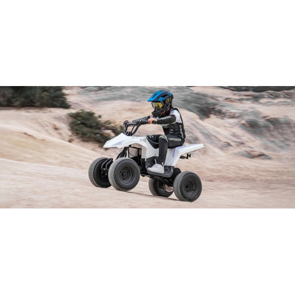 Детский квадроцикл Hyper Gogo Quad C12