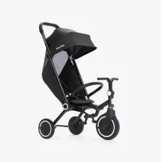 Триколісний велосипед Smart Trike Wonder Max
