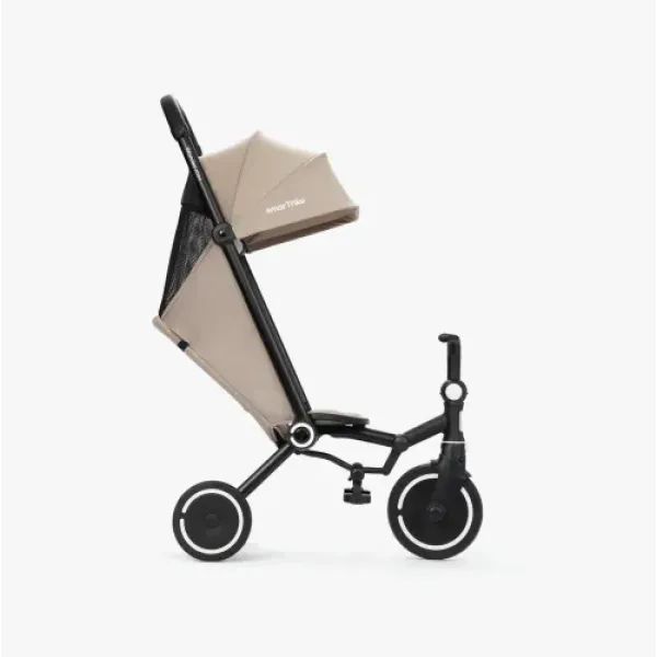 Триколісний велосипед Smart Trike Wonder Max