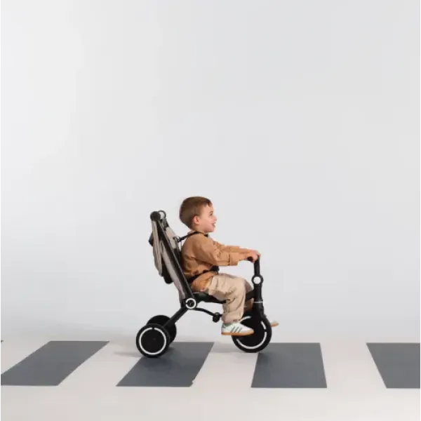 Триколісний велосипед Smart Trike Wonder Max