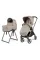 Коляска 2в1 Peg Perego SWITCH
