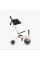 Триколісний велосипед Smart Trike Wind
