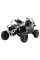 Детский электромобиль Ramiz Buggy Kawasaki TERYX KRX1000