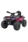 Дитячий квадроцикл Ramiz Quad Can Am Outlander ATV 24V