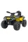 Дитячий квадроцикл Ramiz Quad Can Am Outlander ATV 24V