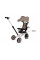 Дитячий трьохколісний велосипед Tiny Bike 5в1 SP0879