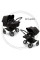 Коляска 2в1 для двійні Bugaboo Donkey 5 Twin