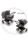 Коляска 2в1 для двійні Bugaboo Donkey 5 Twin