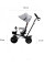Триколісний велосипед Kinderkraft AVEO