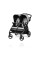 Прогулянкова коляска для двійнят Peg-Perego Book For Two 2020 року