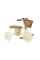 Триколісний велосипед Banwood Trike