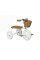 Триколісний велосипед Banwood Trike