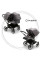 Коляска 2в1 для погодок Bugaboo Donkey 5 Duo